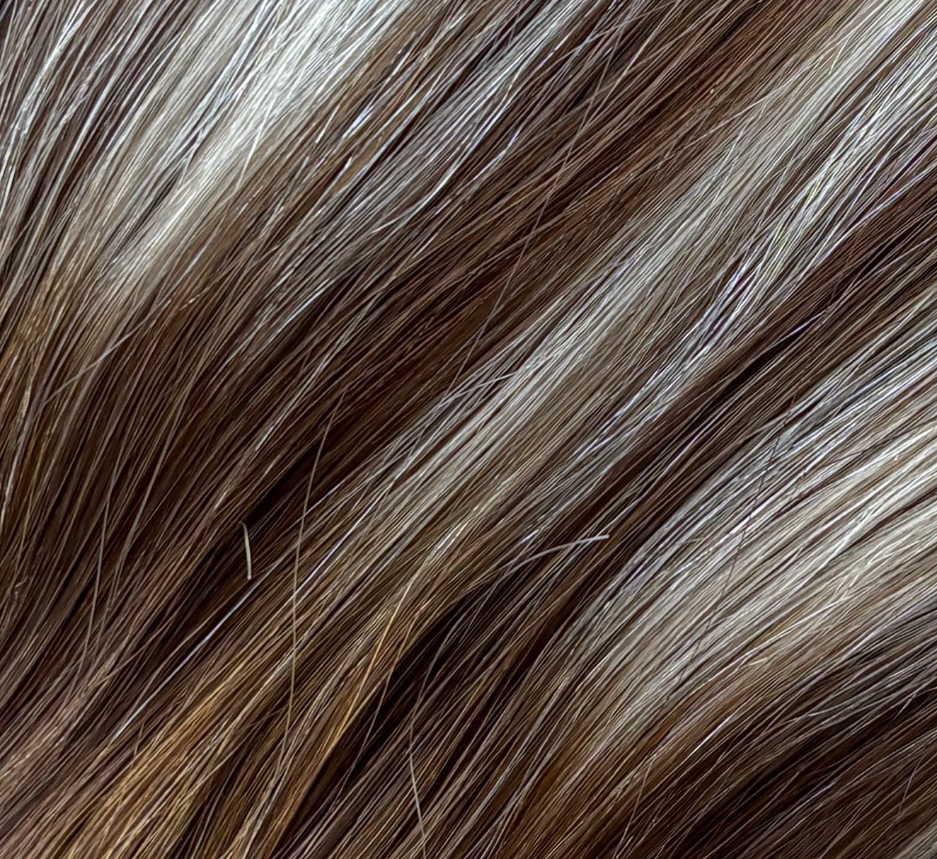 HAZELNUT BRONDIE (ROOTED) - Ultra Seamless Clip-Ins